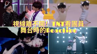 【TNT時代少年團】視線離不開！TNT看團員舞台時的Reaction! |《末路狂花》《負重一萬斤長大》《狼與美女》《做我的貓》