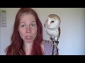 Basics Of Owning An Owl