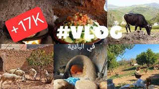 أجواء  البادية أجيو تشوفو جربنا نعيشو 48 ساعة بدون هاتف،48 hours 🌗without internet in the desert🍂