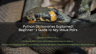 Python Dictionaries Explained! | Beginner’s Guide to Key-Value Pairs 030125A