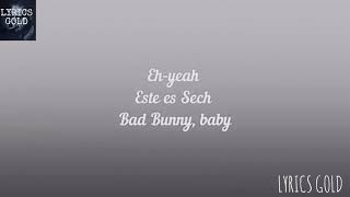 Ignorantes - Bad Bunny x Sech (lyrics Video )