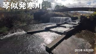 【Vlog】琴似発寒川 山子橋付近 餌釣り 2023年10月29日