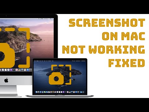 Screenshot on Mac not working? 5 Ways to Fix It