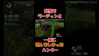 撃墜して死んだハンター【MH4G/MH4U】 #モンハン #monsterhunter