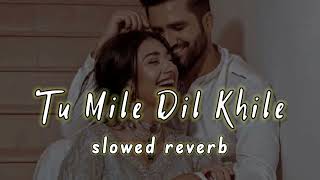 tu mile dil khile | new slowed and reverb song | easy to explore 0.9 |