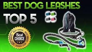 Best Dog Leashes 2019 - Dog Leash Review