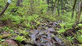 2021年5月23日　登山　手稲山