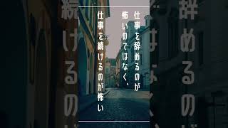 至高の金言を毎日発信してるゾウ#モチベーション #名言 #知識 #金言