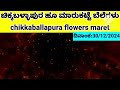 chikkaballapura flower market today rates 30 12 2024