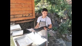 Cherkezi Dzor  Fish Valley in Gyumri Armenia  , Рыбное ущелье в Гюмри , Ձկան ռեստորան Չերքեզի ձոր