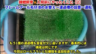 2022.6.25 錦鯉飼育🌟膵臓癌オペや入院前にやっておきたいこと【2/3】毛仔プール本機濾過槽運転。ロールブラシ設置。