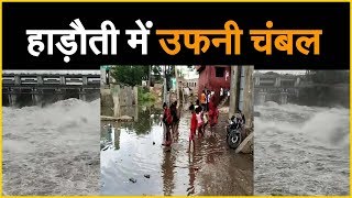 #Watch बारिश से फिर उफनी चंबल, देखिए ये ख़ास वीडियो