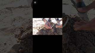 البحث عن الكنوز المخفية – ماذا وجدت اليوم 😱             #metaldetecting #treasurehunting