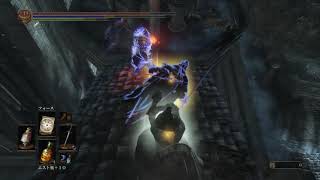 ダークソウル3 サリ裏侵入　犬霊連れて余裕綽々なホストがマトモなわけがない！！　　DARK SOULS III