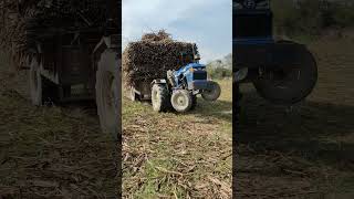 ट्रॉली ने ट्रैक्टर का हिच ही तोड़ दिया 😱😱😂💪💪🙏🙏 #trending #eicher #eicher551 #farming #viralvideo