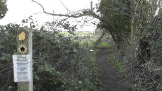 SWC Free Walk 121, Bekesbourne (Sturry) Circular. 22/1/12.