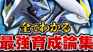 【超わかる】キュレムの全てがわかる‼最強育成論まとめ【ポケモンSV】【総集編】