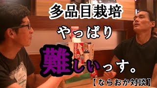 【ならおか対談】多品目栽培で野菜セットを作るのは、やっぱりお手本がないと厳しいですね