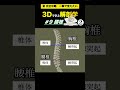 注意すべき椎体と棘突起の位置関係を解説！　【3dで学ぶ解剖学】腰をひねることができない理由をバッチリ解説！3dアニメーションで完全理解！　 椎間板 　 腰椎 　 腰痛予防