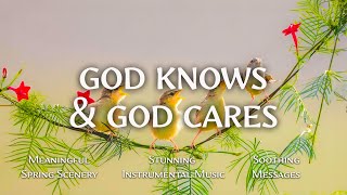 God Knows & God Cares : Instrumental Worship and Scriptures with Birds 🕊 Christian Instrumental