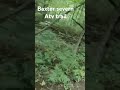 baxter severn atv trail. ontario canada