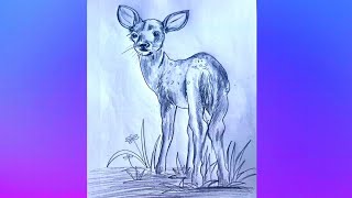 How to draw baby deer easy for beginners/Easy baby deer animal drawing