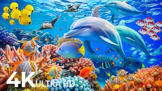 Amazing 4K Ocean Adventure 🐳 Dive Deep and Marvel at Sea Animal in The Best 4K ULTRA HD Aquarium #84