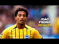 João pedro 2024/25 - Crazy Skills, Goals & Assists | HD