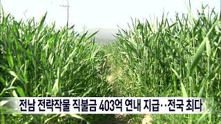 전남 전략작물 직불금 403억 연내 지급…전국 최다[목포MBC 뉴스데스크]