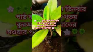 🌸🍀🍀 সুরা ইখলাস তিনবার পাঠ করলেই এক খতম কুরআন তিলাওয়াতের সওয়াব পাওয়া যাবে 🌸🍀🍀 #worldcup #quran #fifa