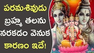 పరమశివుడు బ్రహ్మ తలను నరకడం వెనుక కారణం ఇదే! | Why Lord Shiva Cut Off Brahma's Fifth Head?