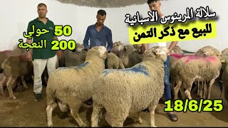 وصول دفعة جديدة أزيد من 250 رأس من إسبانيا نواحي الفقيه بن صالح 18/6/25 مع ذكر التمن 🐏🐑🇲🇦
