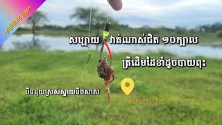 រដូវកាលលេងកូនត្រីដើមដៃ Ep001 សប្បាយវាត់ណាស់ វាត់ហោះៗ | Happy fishing in my countryside.