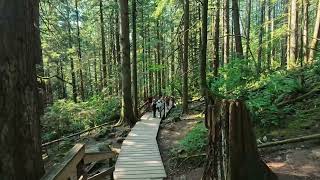 LYNN CANYON PARK | NORTH VANCOUVER - #britishcolumbiacanada