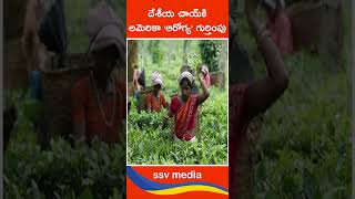 దేశీయ చాయ్‌కి అమెరికా 'ఆరోగ్య' గుర్తింపు #shorts#youtube#tea#FDA#america#SSV-MEDIA-SSW