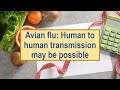 Avian flu: Human to human transmission may be possible