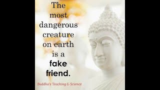 Buddha quotes on life | Buddhism quotes | Buddha quotes on love | Buddha quotes on karma |