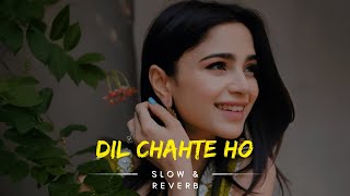 Dil Chahte Ho |Slow & Reverb| Jubin Nautiyal, Mandy Takhar | Payal Dev, AM Turaz |Navjit B |