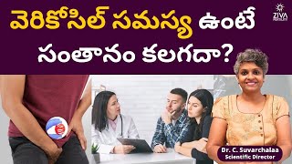 వెరికోసిల్ కు కారణాలు, లక్షణాలు | Varicocele And Male Infertility | Dr C Suvarchala | Ziva Fertility