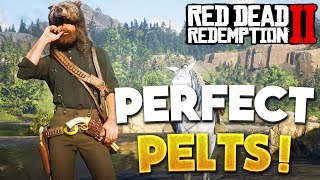 RDR2 How To Get Perfect Pelts & Legendary Animals! Red Dead Redemption 2 Tips & Hunting