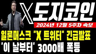 [도지코인 전망]일론머스크 X트위터 긴급발표 이날부터 3000배 폭등