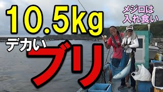 10.5キロ登場！串本カセ（浅海）のイワシフカセの青物（ブリ、メジロ）