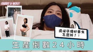 【小兔狼來了 EP.22】生產倒數24小時｜兩個媽媽終於要見兒子了｜長達兩年半的紀錄｜兔女狼