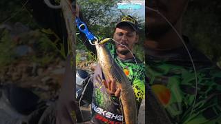 🔥விரால் மீன் பிடிக்க சிறந்த தூண்டில் இது | best snakehead fishing rod reel combo viral meen thoondil