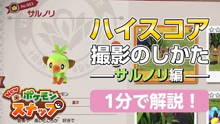 New ポケモンスナップ 攻略  1分で解説！ ハイスコア・高得点（4000点以上）を取る方法を紹介します！ サルノリ編