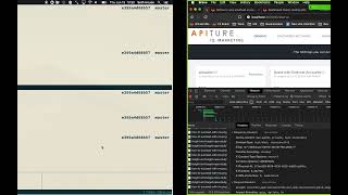 HTTP and using mitmproxy as a reverse proxy for development