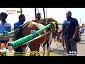 பிரிவு 1 புதியகுதிரை திருச்சி 26 12 2021 part 1 puthiya kuthirai trichyhorse race ksk krish stutio