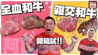 阿Dee試牛 | 全血和牛 雜交和牛 開箱試 | 試真啲 無論係唔係牛痴都不能錯過