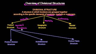 Overview of Divisional Organizational Structures | Organizational Design | MeanT
