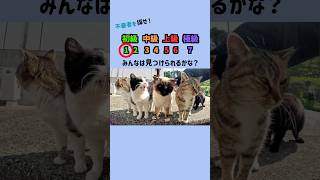 みんなは見つけられるかな？#クイズ #ai #暇つぶし #shorts #クイズゲーム #ミニゲーム